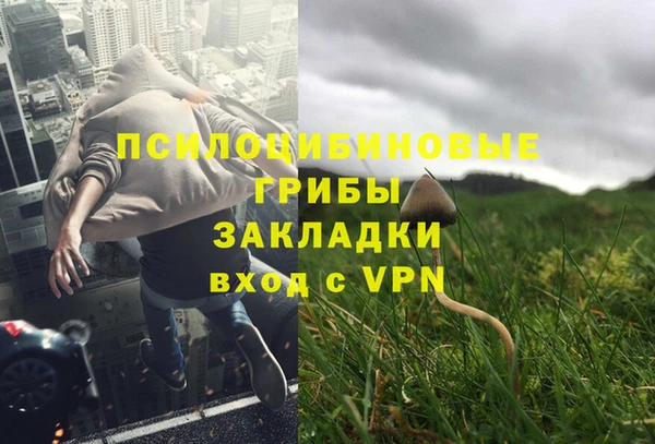 бутират Алзамай
