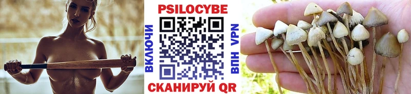 Псилоцибиновые грибы мицелий  Ейск 