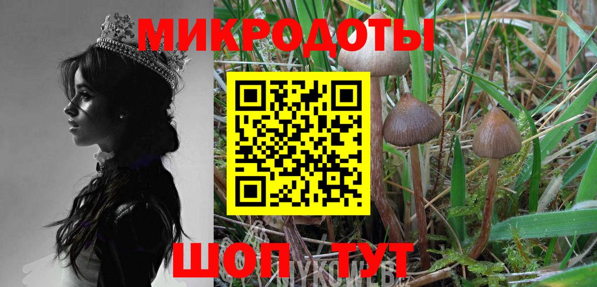 Псилоцибиновые грибы Psilocybe  Вход с VPN  Ейск 