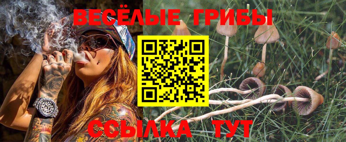 Галлюциногенные грибы Cubensis Ейск